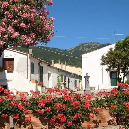 Sara 3 Pila